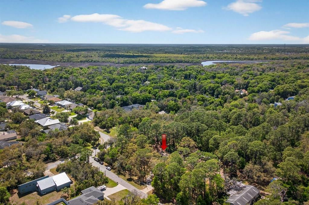 6062 Dalford Road Port Orange, FL 32127 - Photo 49 of 53