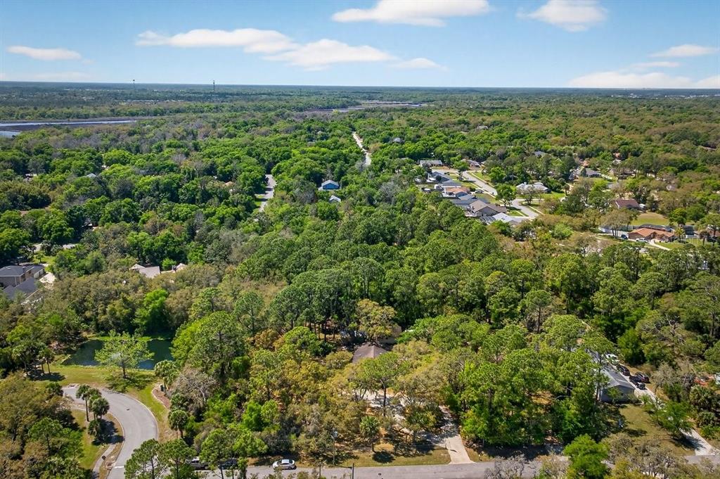 6062 Dalford Road Port Orange, FL 32127 - Photo 52 of 53