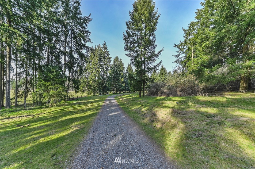 36027 Allen Road South Roy, WA 98580 - Photo 3 of 33 a view of a field with trees