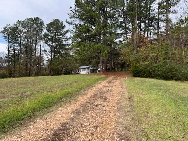 a view of a yard with trees