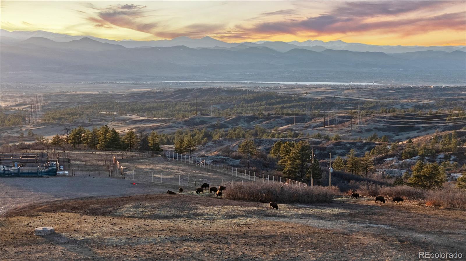 5810 Amber Ridge Drive Castle Pines, CO 80108 - Photo 2 of 44