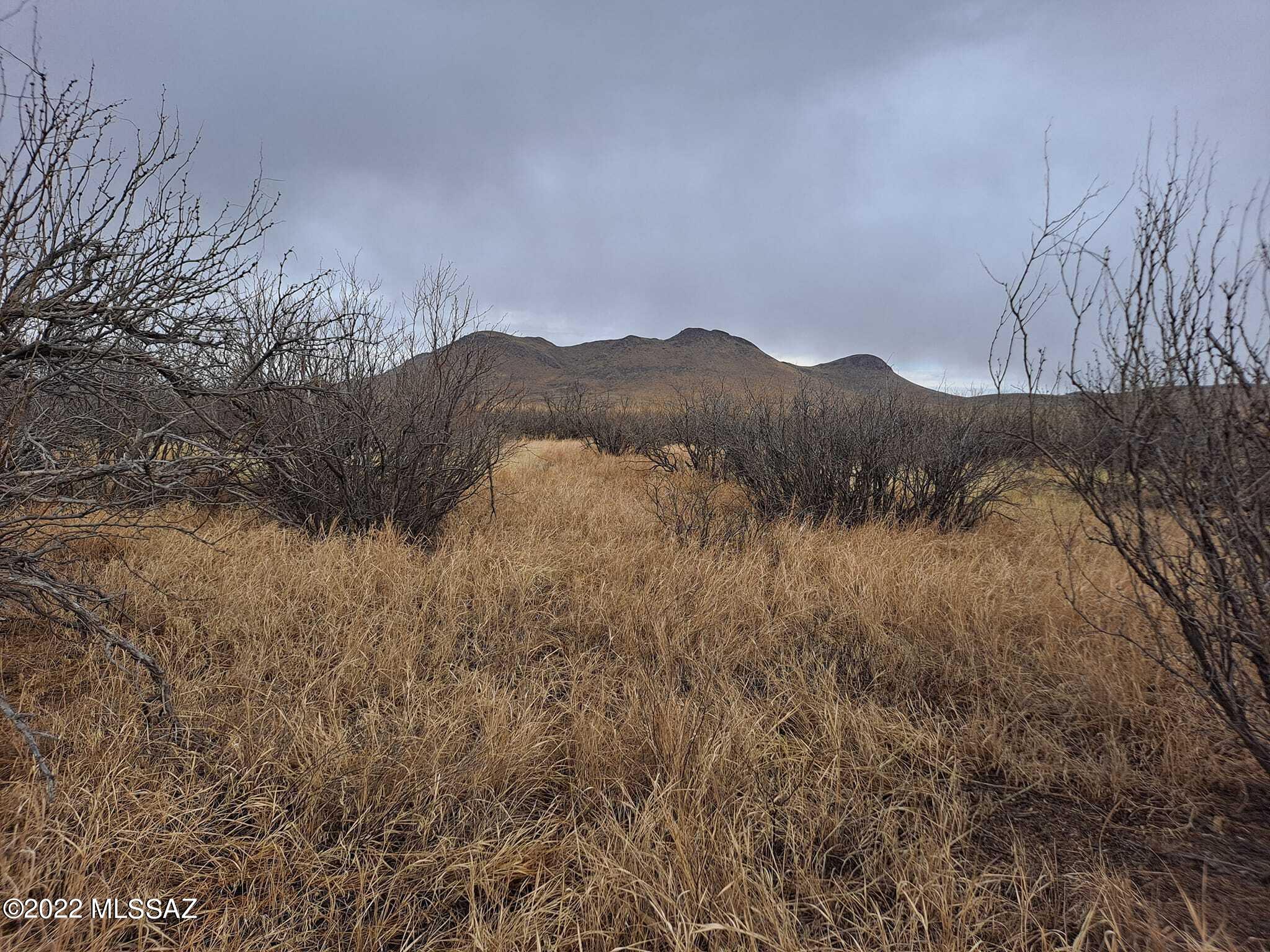 0 East Fawn Ranch Road, Unit 25 Pearce, AZ 85625 - Photo 1 of 19