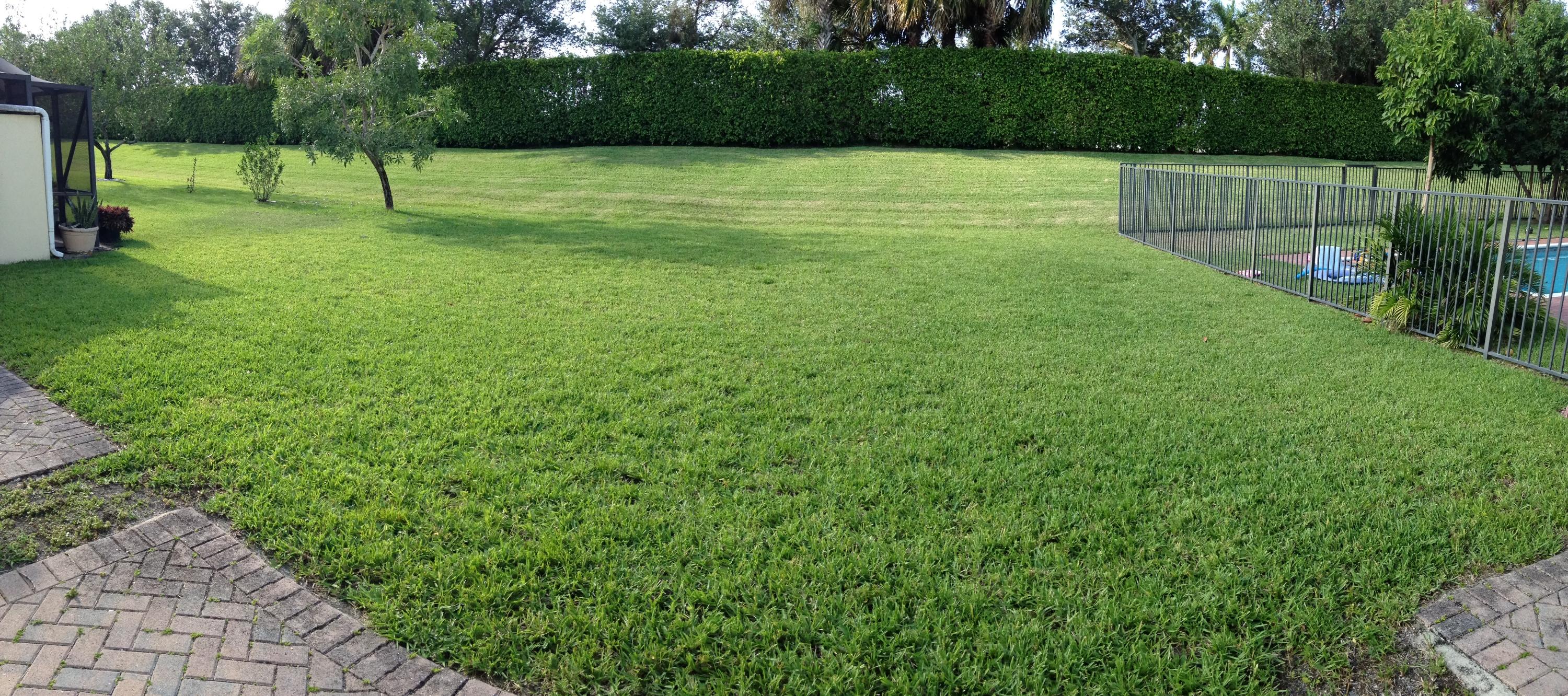 11121 Laurel Walk Road Wellington, FL 33449 - Photo 6 of 7 Exterior back