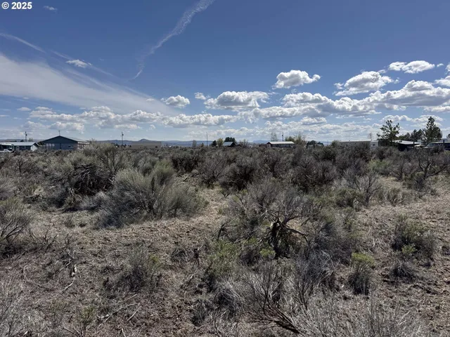 a view of beach and ocean