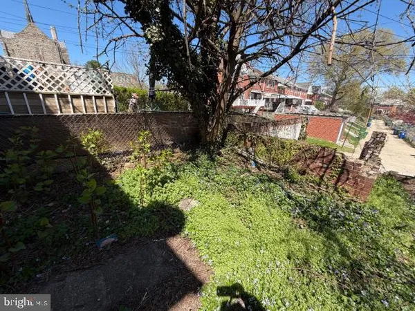 a view of yard with tree