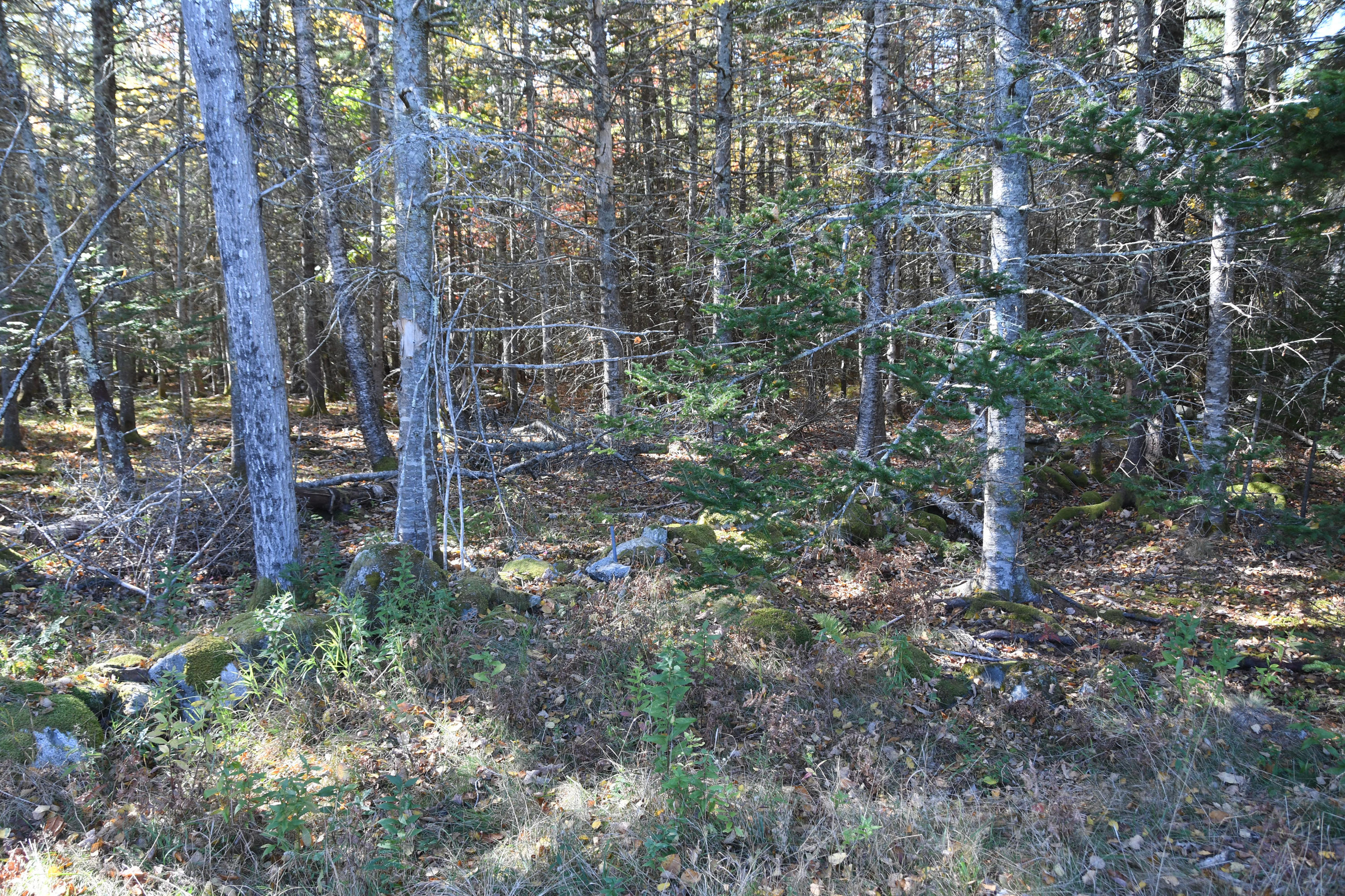 01 North Deer Isle Road Deer Isle, ME 04627 - Photo 12 of 34 20171021_AnneKeck_004