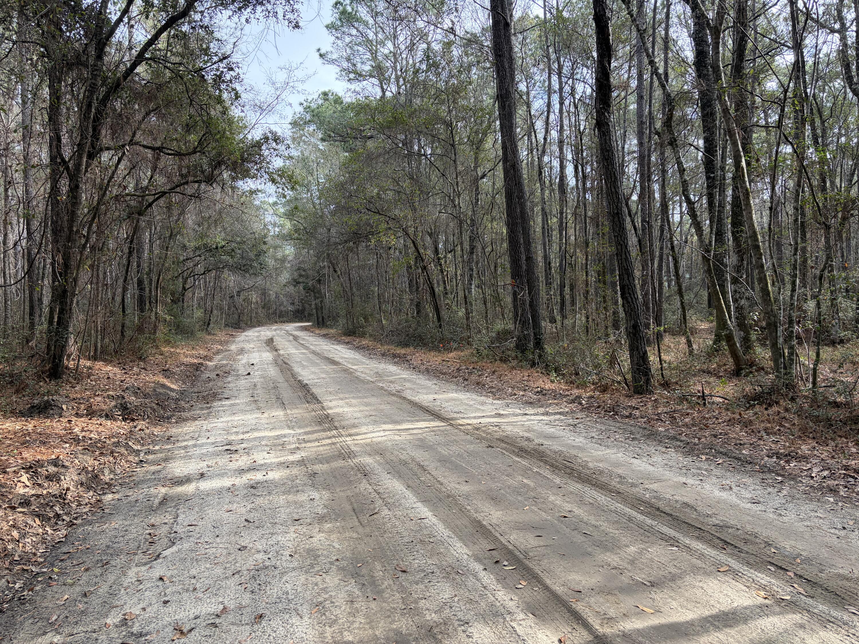 0 Hercules Road McClellanville, SC 29458 - Photo 2 of 2