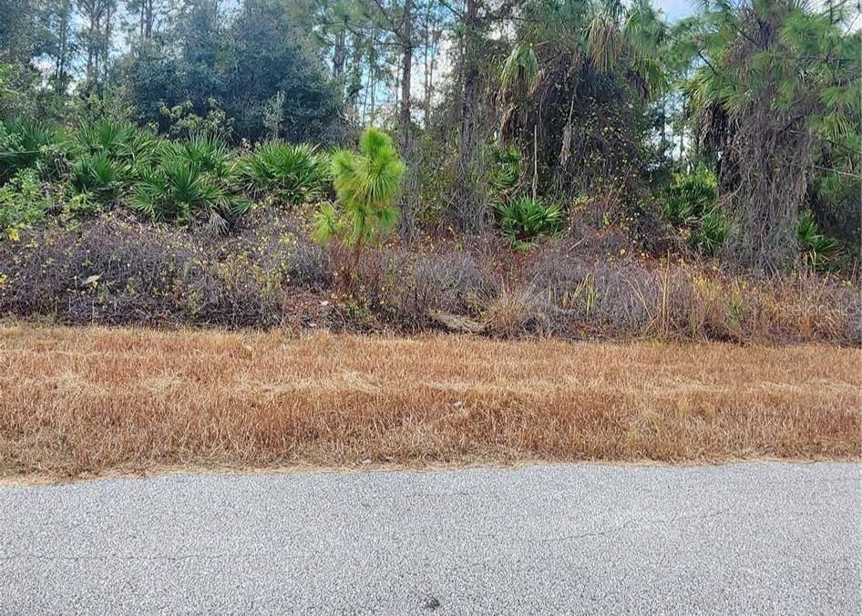 Filbert St Port North Port, FL 34288 - Photo 5 of 5 a view of a dry yard with trees