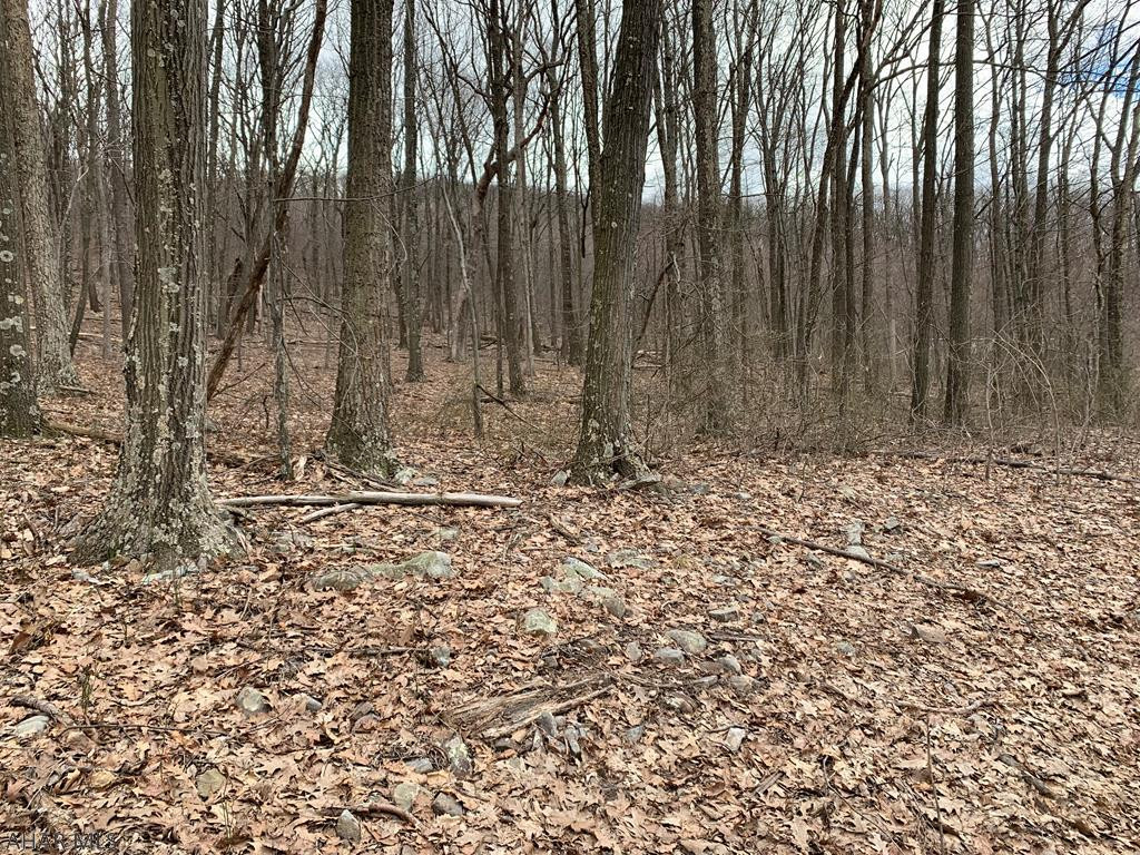 Lot 5 Monroe Mountain Road Clearville, PA 15535 - Photo 1 of 31 Gallery Image 1