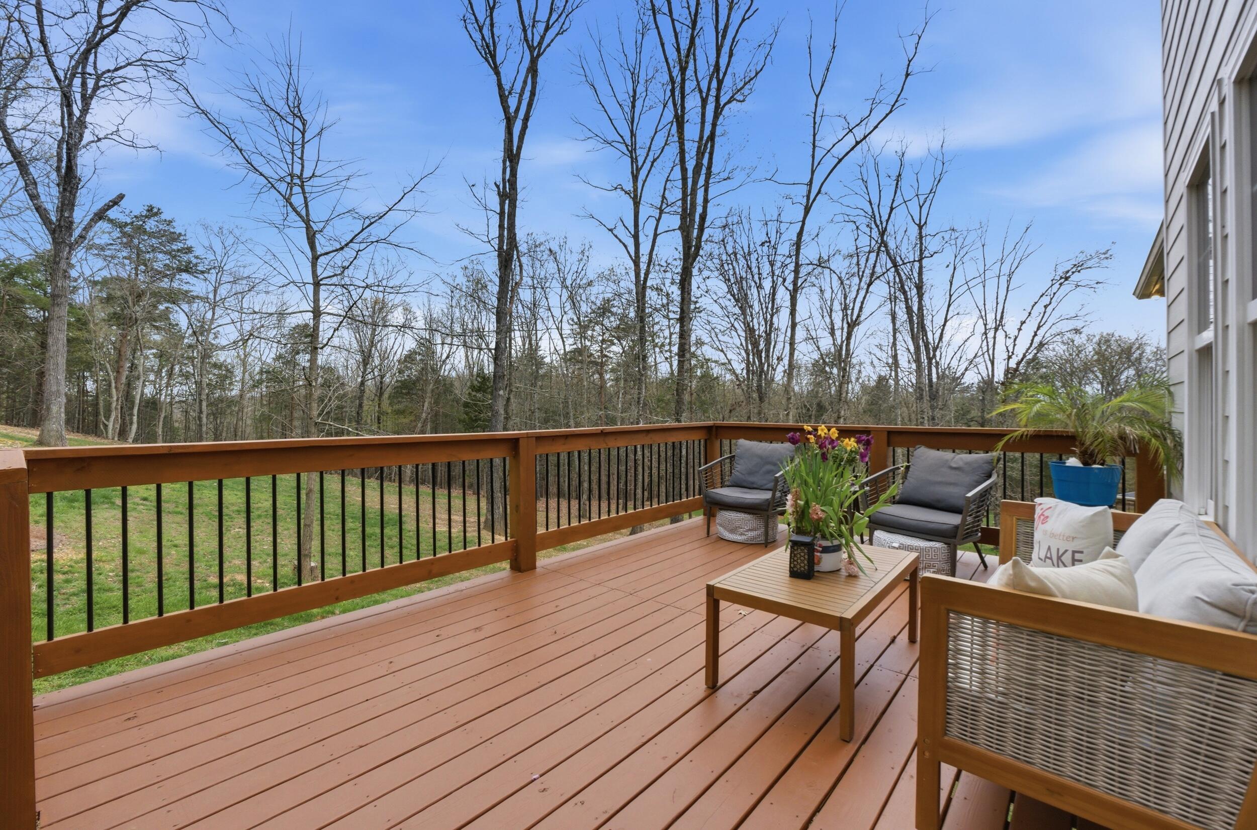 6245 Cashmere Lane Harrison, TN 37341 - Photo 10 of 28 dsc06680