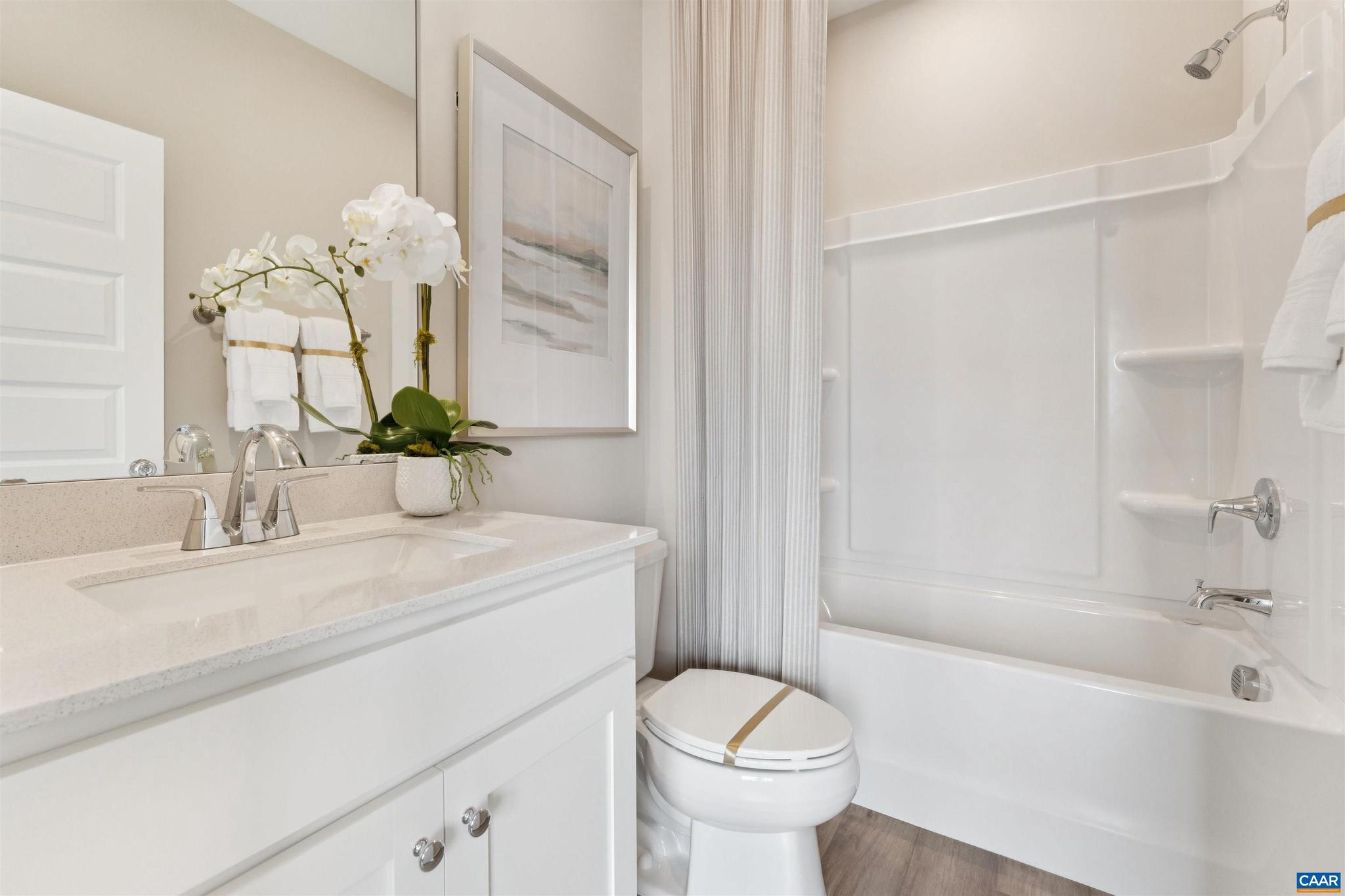 2994 Rambling Brk Lane Crozet, VA 22932 - Photo 19 of 33