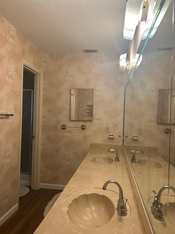 568 Silver Course Loop Ocala, FL 34472 - Photo 13 of 26 a bathroom with a sink and a mirror
