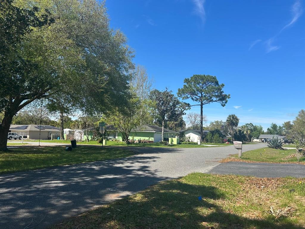 568 Silver Course Loop Ocala, FL 34472 - Photo 22 of 26 a view of a park with large trees