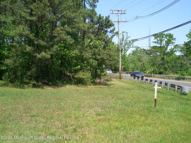 a wooden bench sitting in a park with large trees