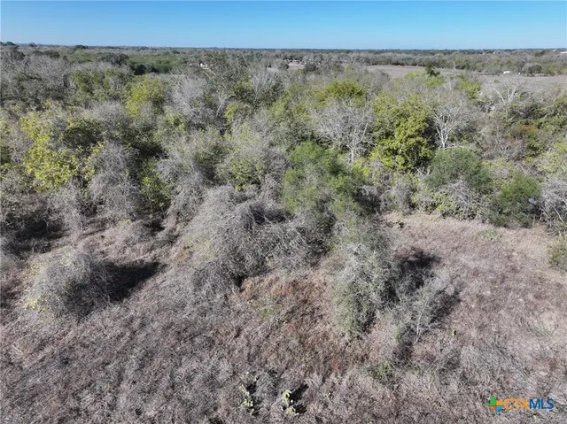 a view of a forest with trees