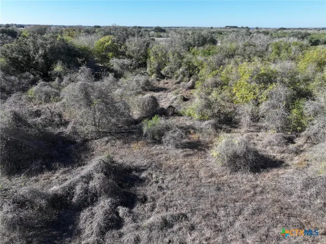 a view of a dry yard with green space