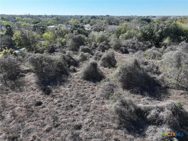 a view of a dry yard with trees