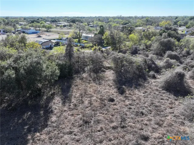a view of a yard with a bunch of bushes