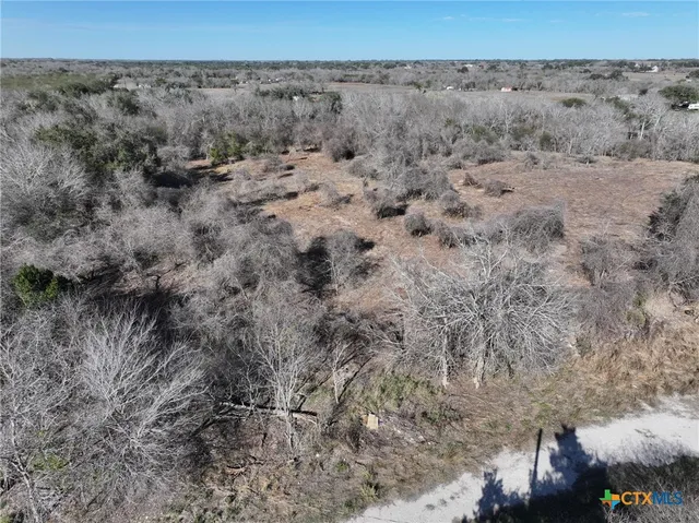 a view of a dry field with trees in the background