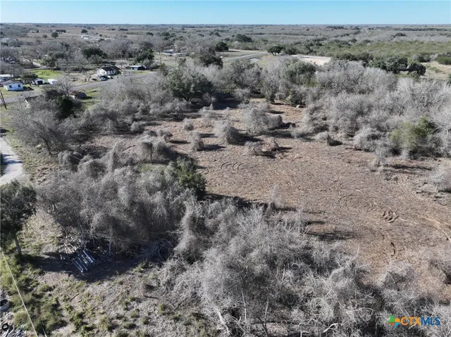 a view of a dry space with lots of trees