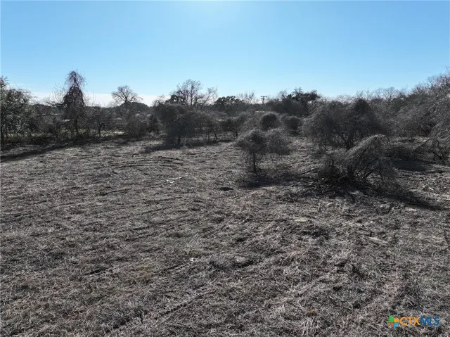 a view of a dry yard with trees in the background
