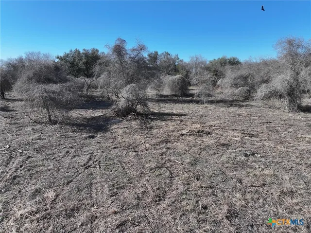 a view of a dry yard with trees