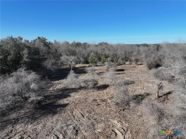 a view of a dry yard with trees