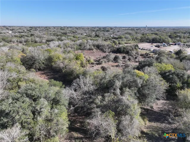 a view of a city with lush green forest