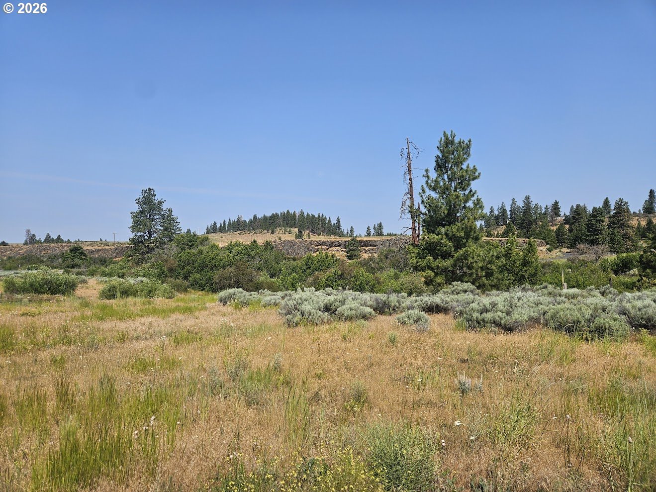 Olson Road Centerville, WA 98613 - Photo 7 of 25