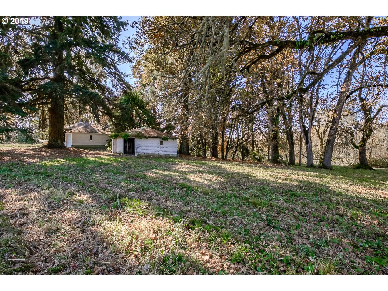 31790 Peoria Road Albany, OR 97321 - Photo 11 of 23 Gallery Image 11