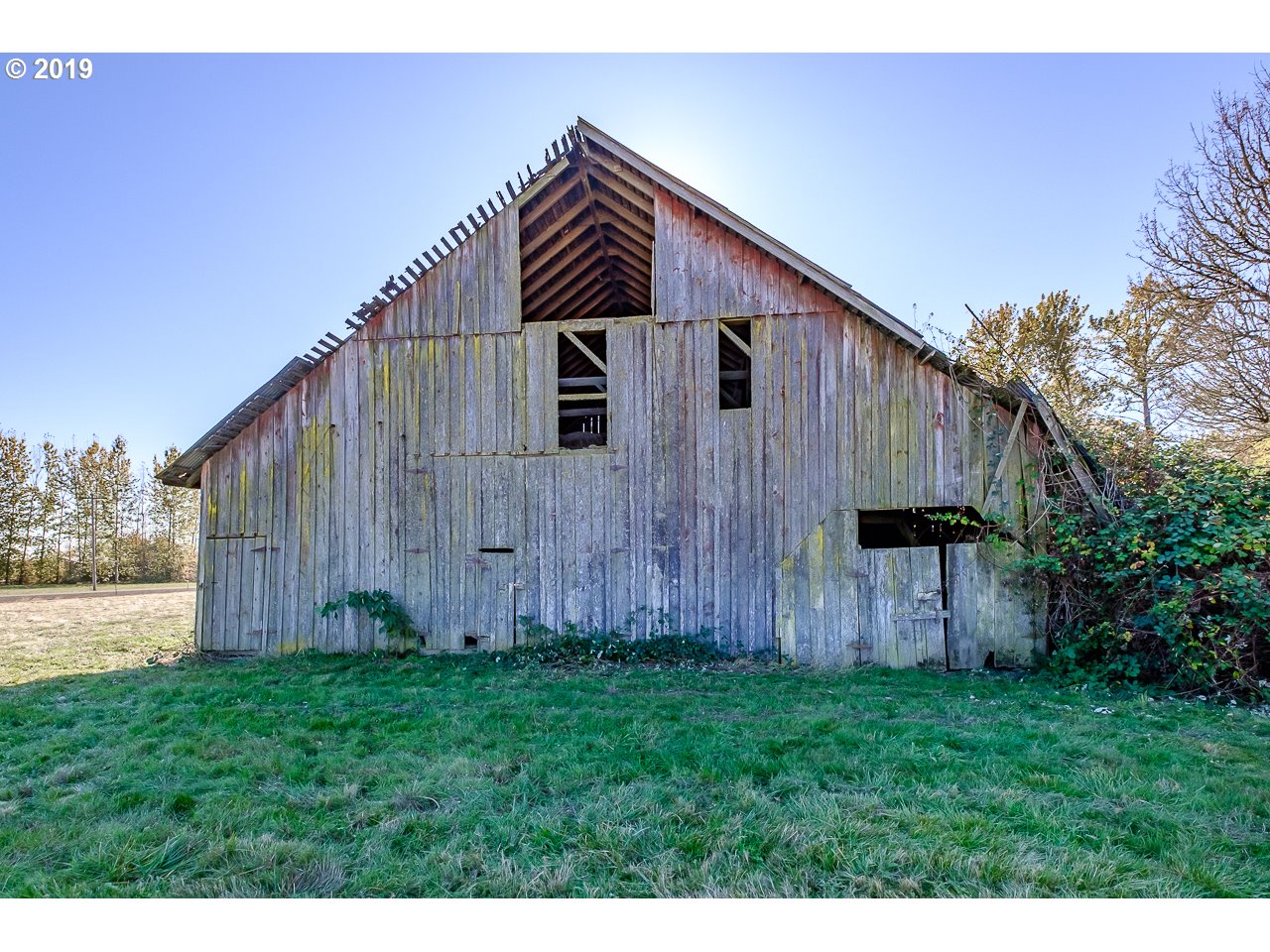 31790 Peoria Road Albany, OR 97321 - Photo 16 of 23 Gallery Image 16