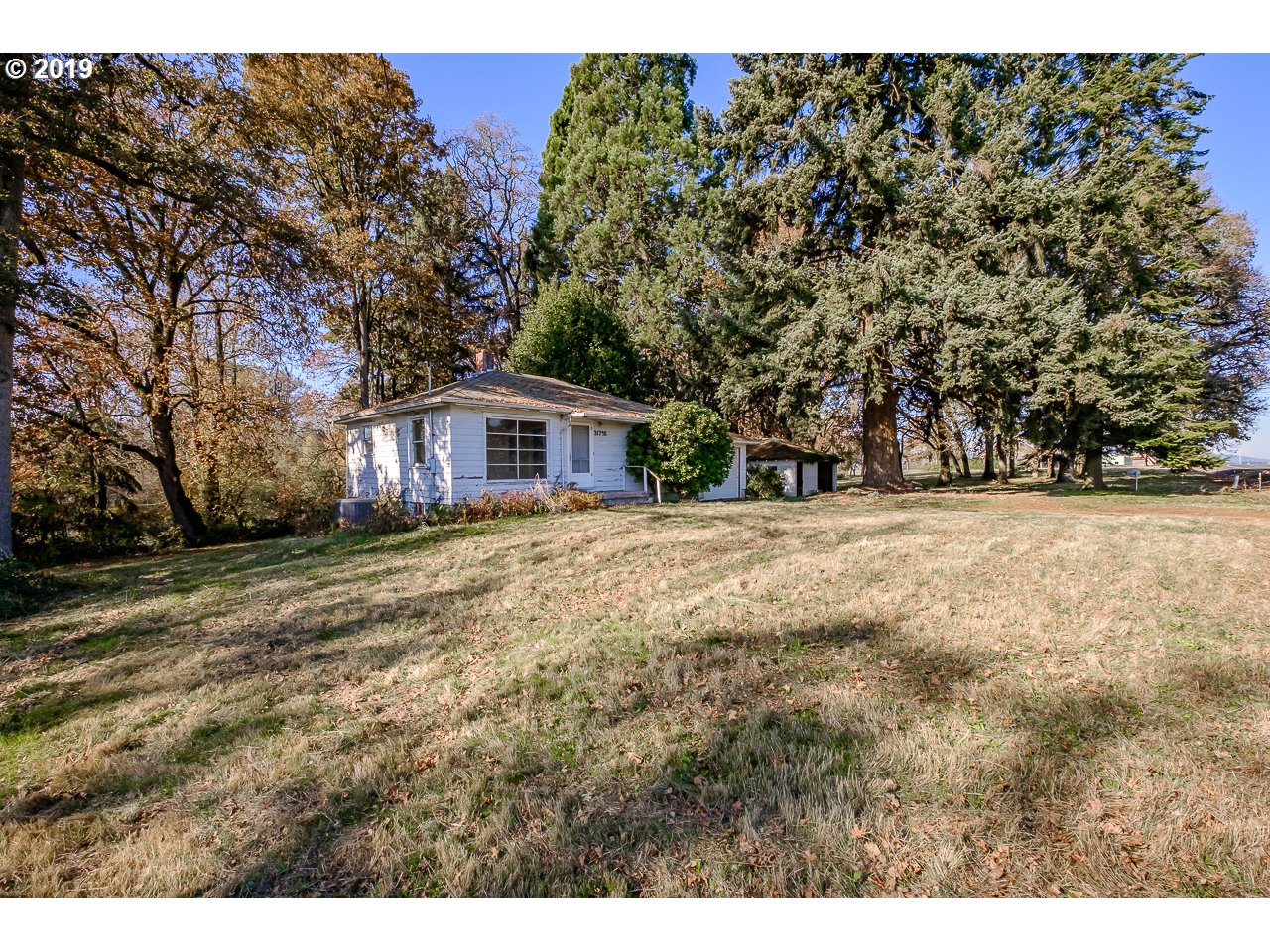 31790 Peoria Road Albany, OR 97321 - Photo 23 of 23 Gallery Image 23