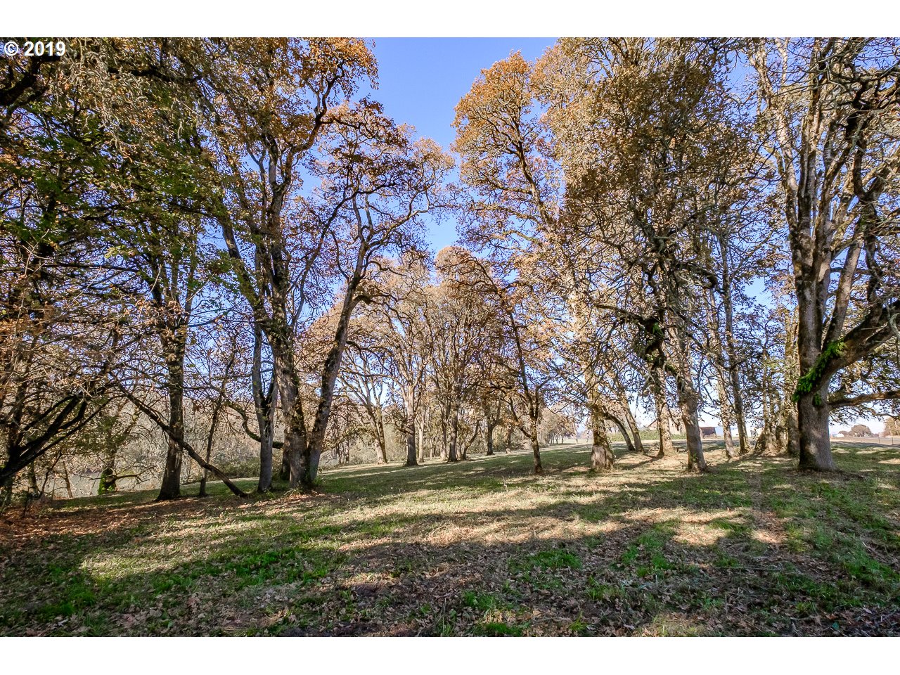 31790 Peoria Road Albany, OR 97321 - Photo 10 of 23 Gallery Image 10