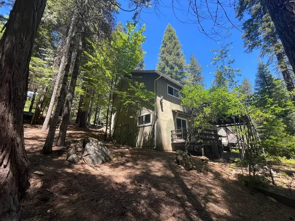 a view of a tree in front of a house