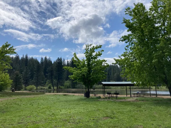 a green field with trees in the background