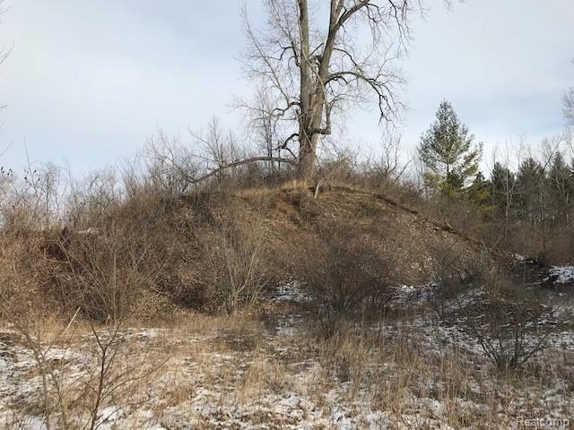 Kelly Rd Kelly Road Cass City, MI 48726 - Photo 6 of 22