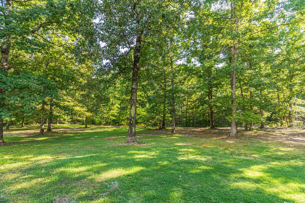 4200 Pleasant Site Road Selmer, TN 38375 - Photo 17 of 23 Gallery Image 17