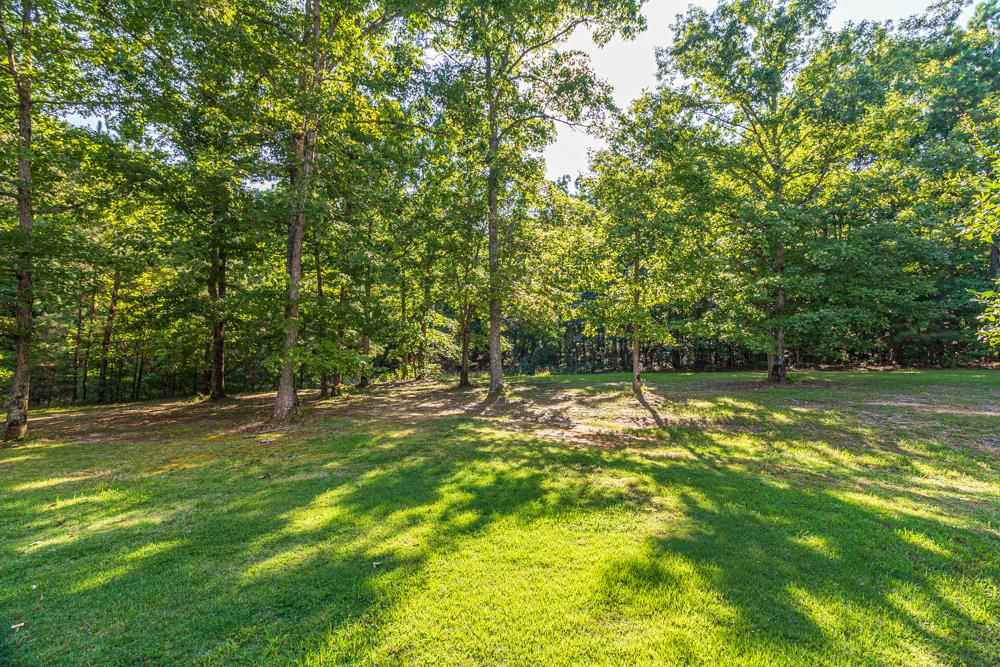4200 Pleasant Site Road Selmer, TN 38375 - Photo 18 of 23 Gallery Image 18