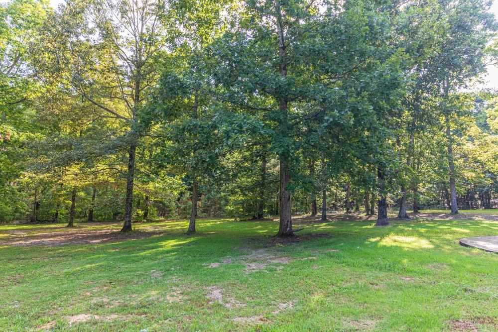 4200 Pleasant Site Road Selmer, TN 38375 - Photo 19 of 23 Gallery Image 19