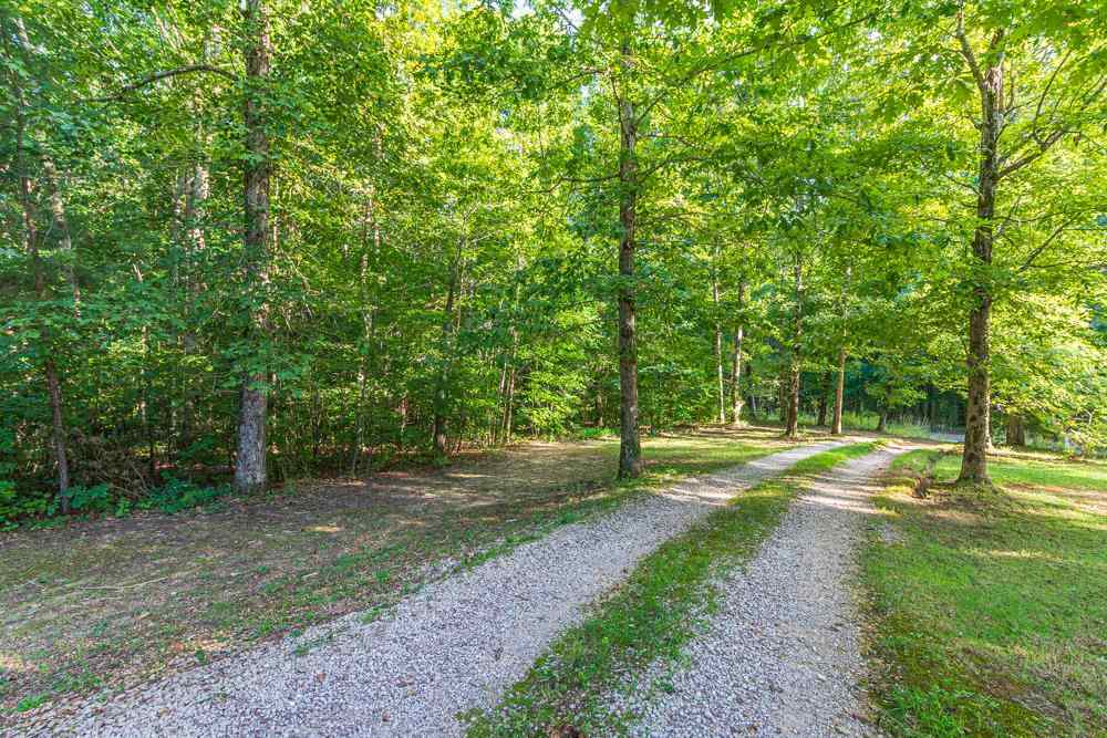 4200 Pleasant Site Road Selmer, TN 38375 - Photo 21 of 23 Gallery Image 21
