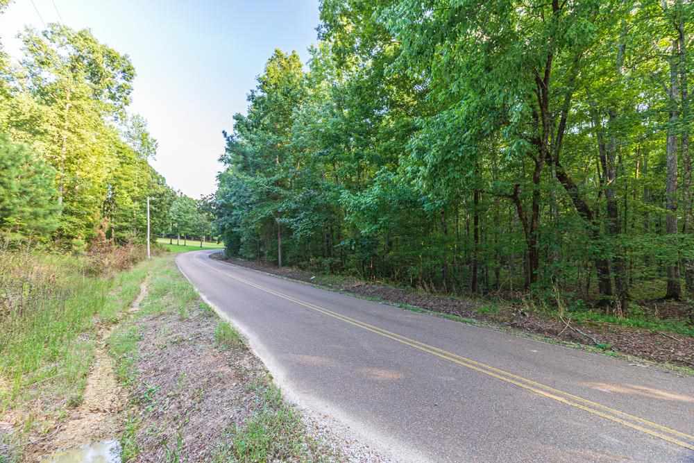 4200 Pleasant Site Road Selmer, TN 38375 - Photo 23 of 23 Gallery Image 23