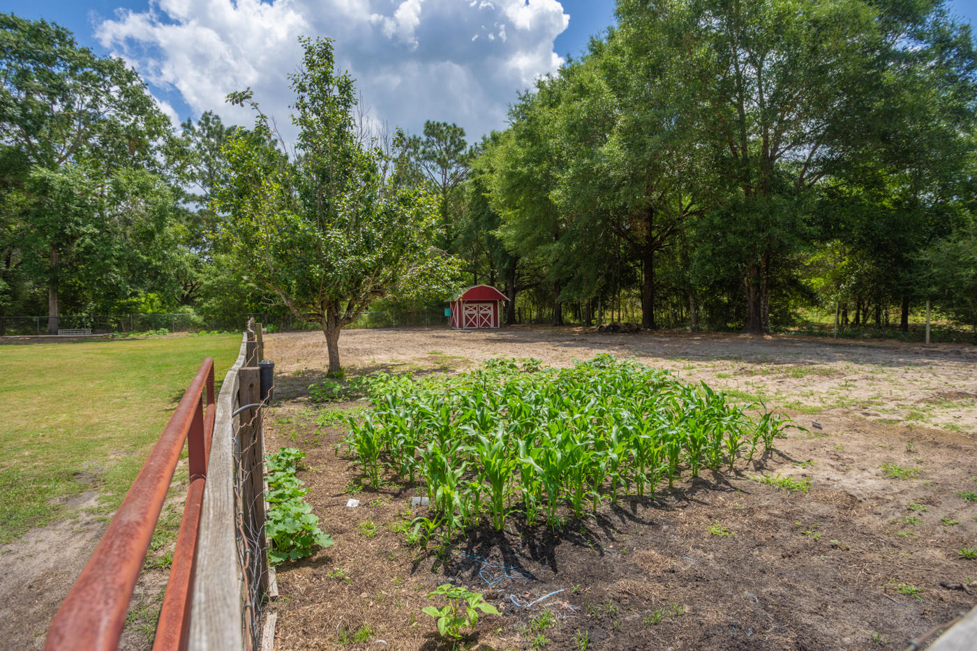 5621 Buckward Road Baker, FL 32531 - Photo 31 of 41 a view of a garden with lawn chairs