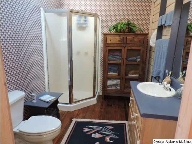 229 Hanson Road Wedowee, AL 36278 - Photo 13 of 27