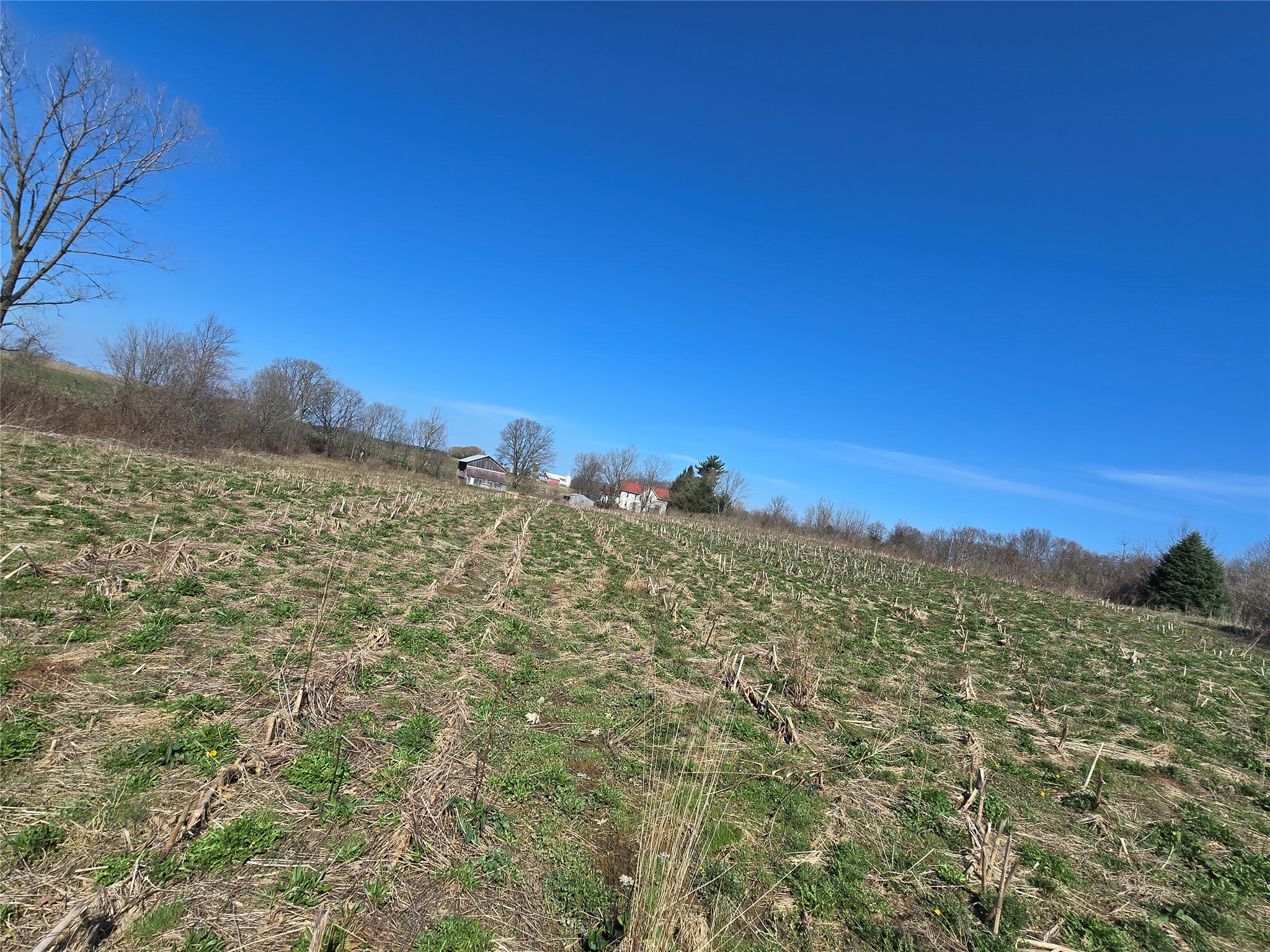 0 West Road McKean, PA 16426 - Photo 14 of 16 Gallery Image 14
