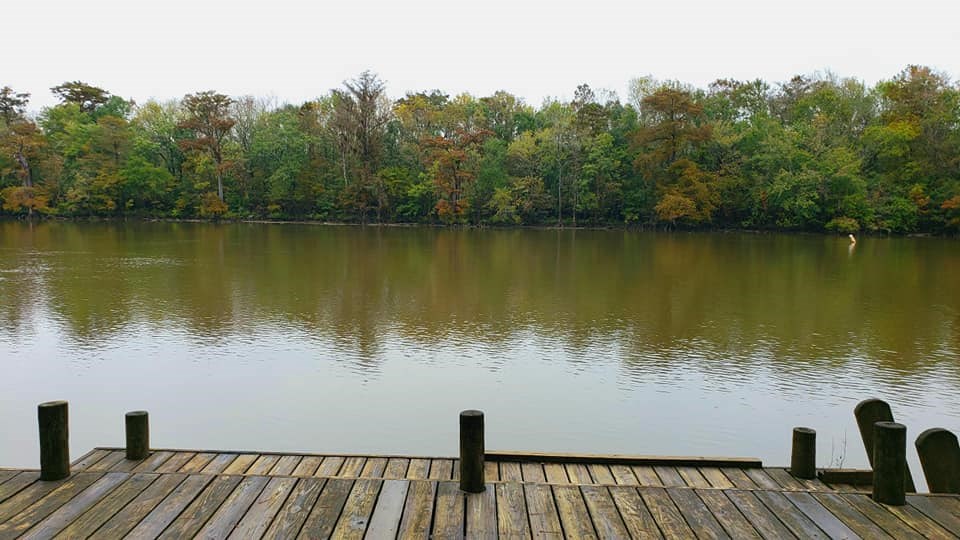 8605 Bryant's Lndg Road Stockton, AL 36579 - Photo 16 of 18