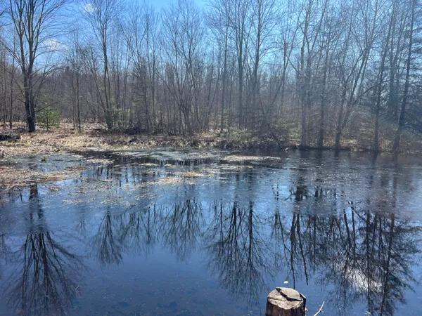 $265,000 | 243 West Turkey Lane, White Cloud, MI 49349