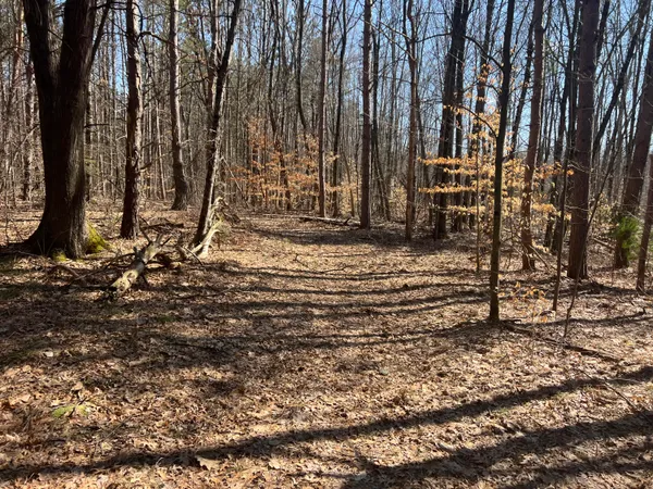 $265,000 | 243 West Turkey Lane, White Cloud, MI 49349