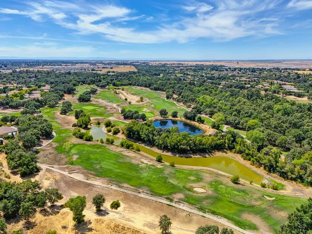 an aerial view of residential houses with outdoor space and trees