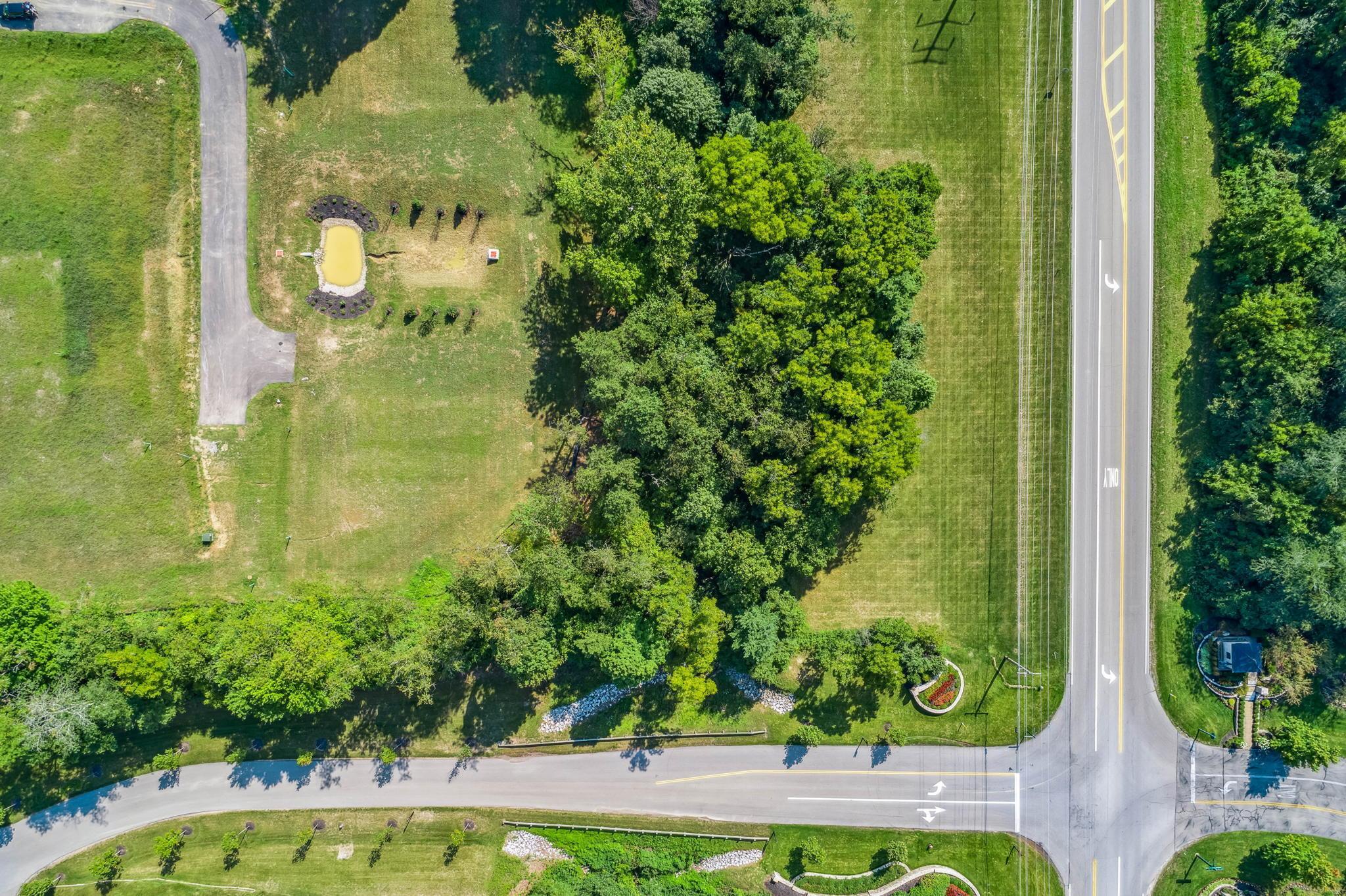 987 Ruth Crossing Road Delaware, OH 43015 - Photo 12 of 21 Aerial Photo