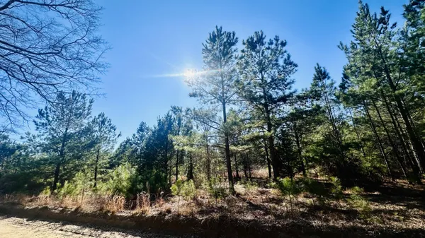 $60,000 | 0 Loon Road, Barnwell, SC 29812